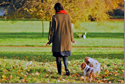 Pour que promener son chien reste un plaisir Pour que promener son chien reste un plaisir